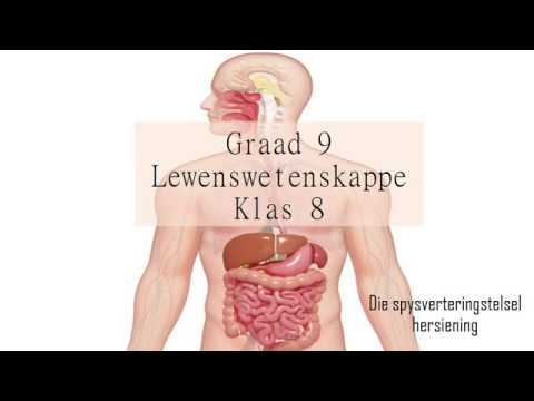 LEWENSWETENSKAP GRAAD 9: 12 Mei 2020 - periode 7 (12097)
