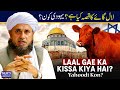Laal Gae Ka Qissa Kiya Hai ? Yahoodi Kon ? | Mufti Tariq Masood Speeches 🕋