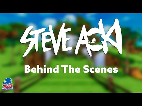 Steve Aoki x Sonic Concert