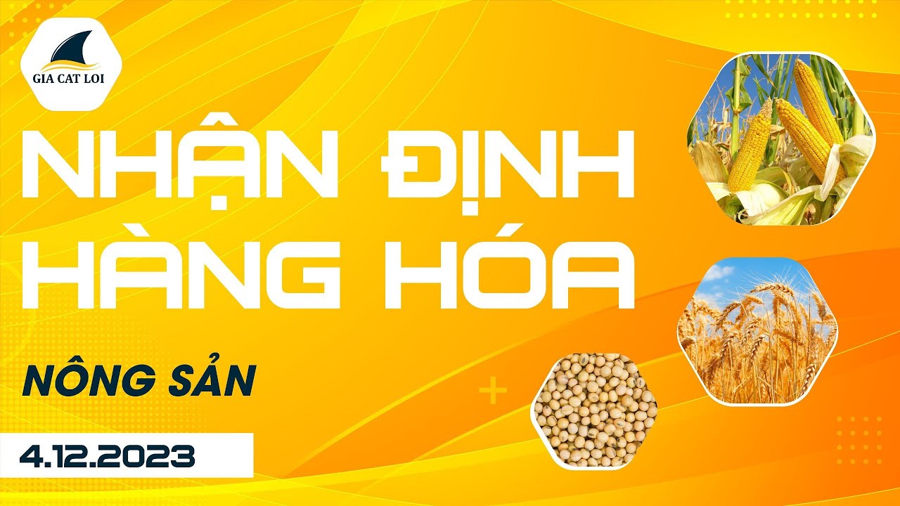 Nhận Định Hàng Hoá Nông Sản Ngày 04/12/2023