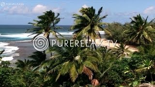 Nature Videos - Piano Music, Paradise, Harmony & Energy - SIMPLY RELAX