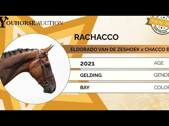 Rachacco