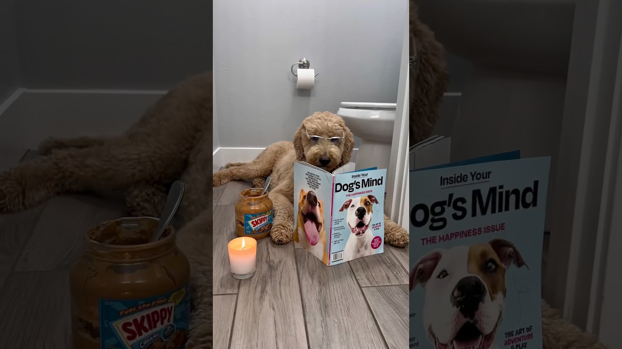 Based on a true story #dogs #dogcomedy