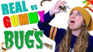 Gummy Food vs Real Food BUG EATING CHALLENGE 🕷️🤢 | Real Bugs or Gummy Worms Roulette