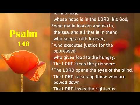 Psalms (Audio Bible): Psalm 146, Psalm 147, Psalm 148, Psalm 149, Psalm 150 - Popular Verses Quotes