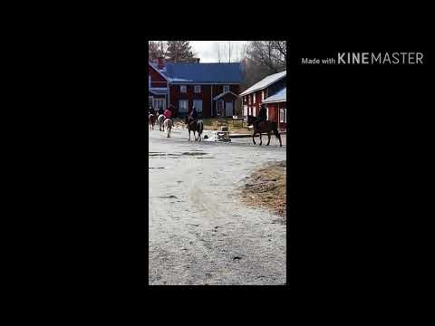 15.4.2020 Menin Kawalla 🤎