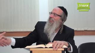 הרב אליהו גודלבסקי | אין רווח כזה - עלים לתרופה - פרשת וישלח תשעז - שיעור מלא