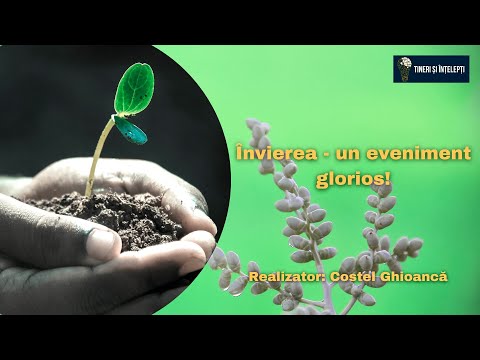 Învierea - un eveniment glorios! - Devoțional - Tineri și înțelepți - E0174