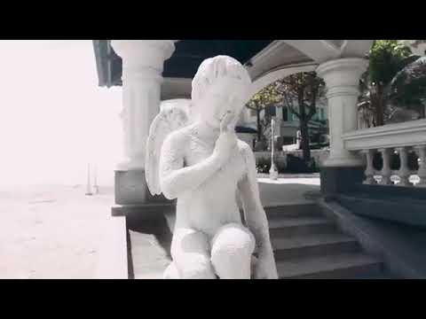 Lan Rừng Phước Hải