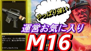 【CoD　BO4】新武器「M16」登場！運営お気に入りTRの実力は如何に⁉