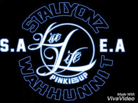 Stallyonz100 - Stallyonsummertime (Audio)