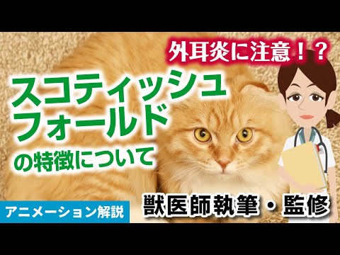 猫のアイコン