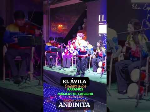 EN LOS PARAMOS MÁGICOS DE CAPACHO CLUB DE MONTAÑA AGUAMIEL #musica #tachira #venezuela #musicaandina