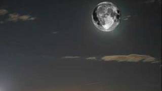 Showaddywaddy - Under the moon of love