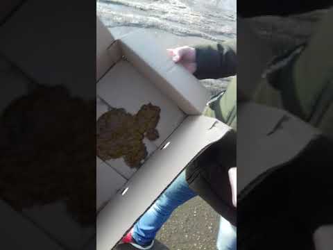 человек насрал и ходит со своим говном!!!!!