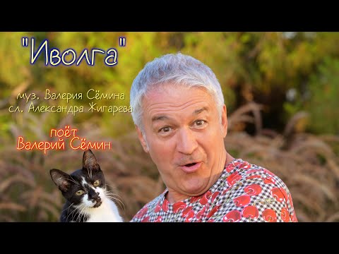 Клип на песню "ИВОЛГА" ❤️❤️❤️ Красиво, душевно, легко))) Поёт Валерий Сёмин. Качество 4К