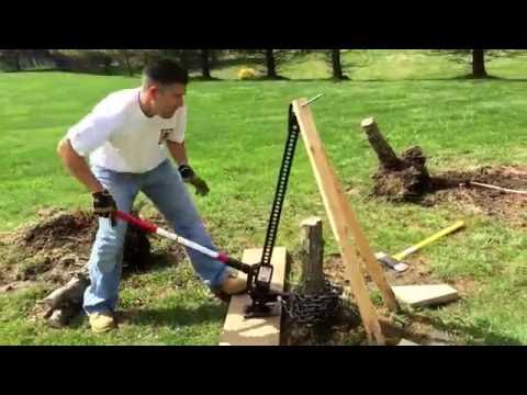 time to trim lilac bushes