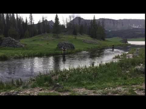 Flyfishing the stream near our campsite