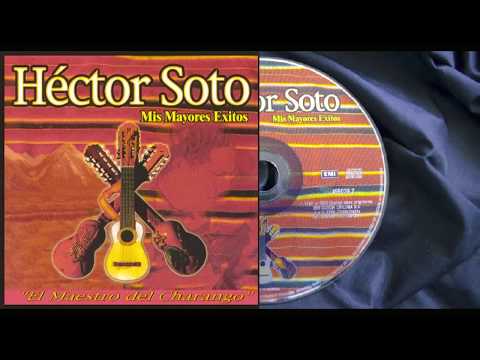 Mis Mayores Exitos - Hector Soto - Charango - Full Album - Musica Instrumental Andina