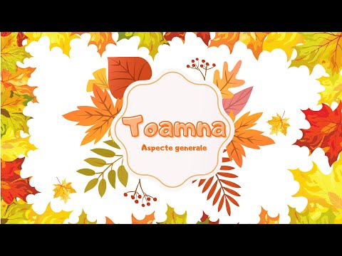🍁 TOAMNA 🍂 -aspecte generale ale anotimpul toamna|| cunoasterea mediului|| copii
