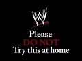 WWE Do Not Try This At Home 2008