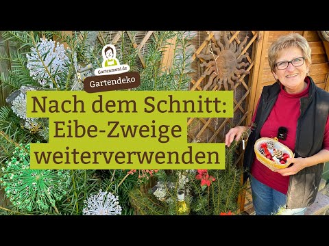 Yew pruning - How to reuse the larger branches!