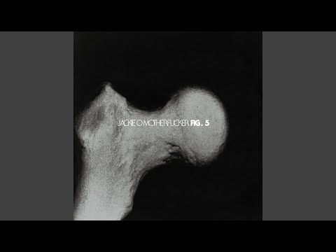 Your Cells Are in Motion