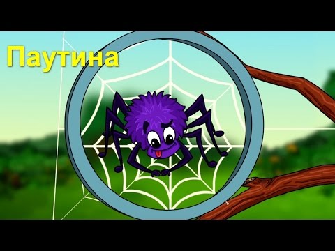 Профессор Почемушкин - Познавательный мультфильм для детей – Откуда паук берет свою паутину?