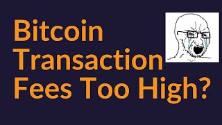 Are Bitcoin Transaction Fees Too High?