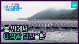 태양광 발전을 물 위에서 한다?  / YTN 사이언스