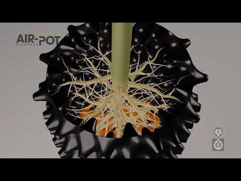 Air-Pruning Tree Nursery
