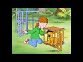 The Magic Key Biff Of The Jungle