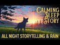 THE WOLF CUB S JOURNEY Sleep Relaxation Bedtime Story For Adults Soothing Storytelling With Rain