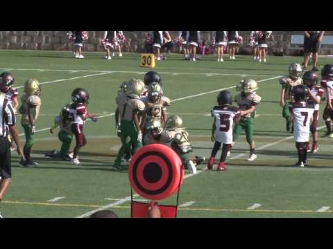 9.9.17 N Gwinnett AN vs. Grayson AN (Wood) - 6 Year Olds