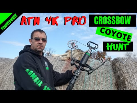 cross bow hunting coyotes with atn 4k pro