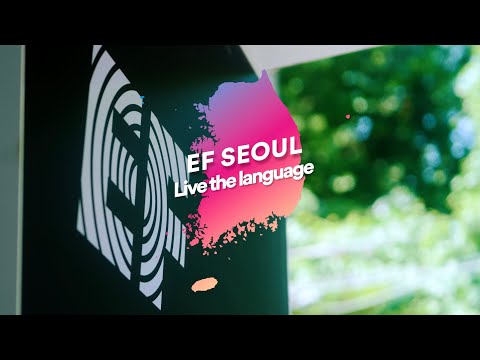 Emilios Eindrücke aus EF Seoul| EF Deutschland