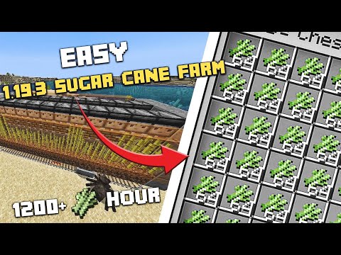 Minecraft Sugar Cane Farm 1.19.3 - Most Efficient