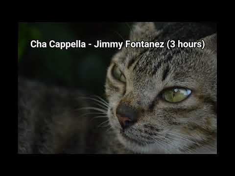 cha cappella - jimmy fontanez 3 hours ( No copyright )