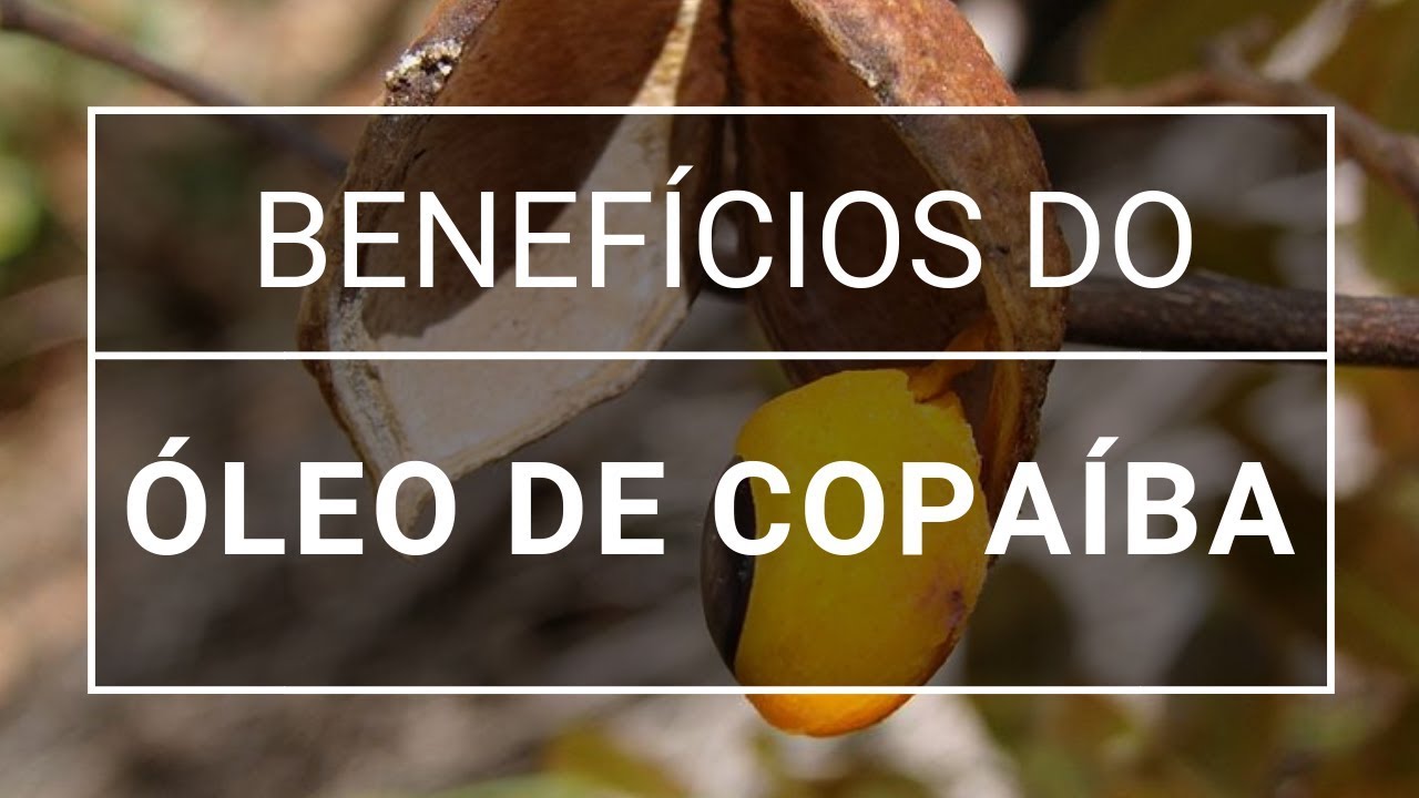 Os incríveis benefícios do óleo de copaíba