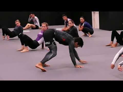 Condicionamento de Capoeira voltado para o Jiu Jitsu com o " Cobrinha "