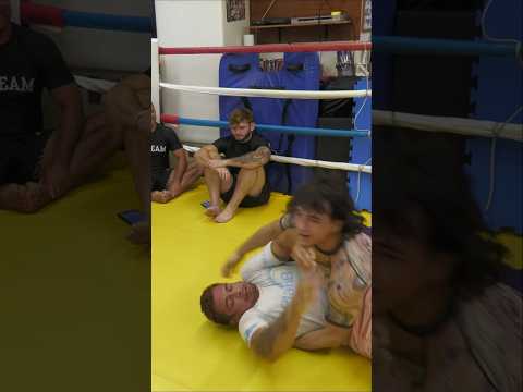 Jozef Chen TROLLS Nicky Rod 😂 #bteamjiujitsu