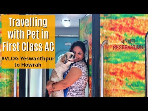 Full Journey Indian Railways FIRST CLASS With Dog | Travelling With Dog In Indian Railways