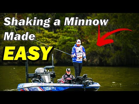 Why Anglers Fail To Catch Bass On The Jig Head Minnow