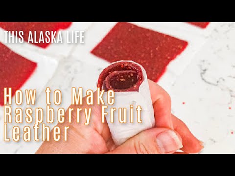 How to make RASPBERRY FRUIT LEATHER in a dehydrator | This Alaska Life