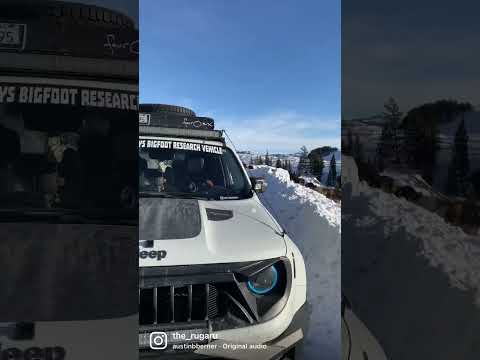 The Jeep Renegade Trailhawk