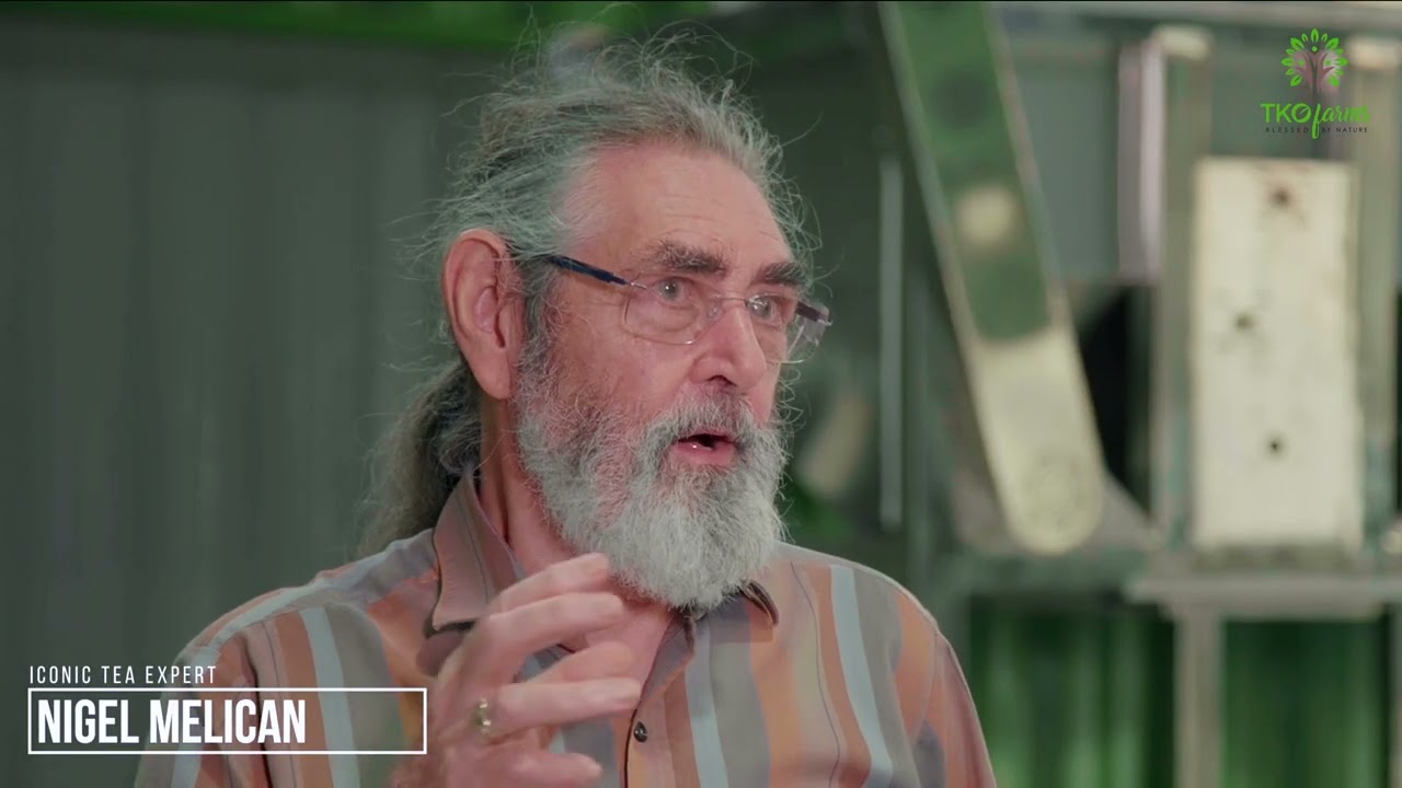 Moisture Testing Graviola Leaves