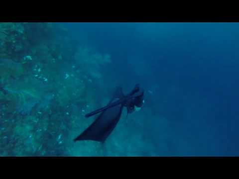 Miguel Lozano - Down current freediving