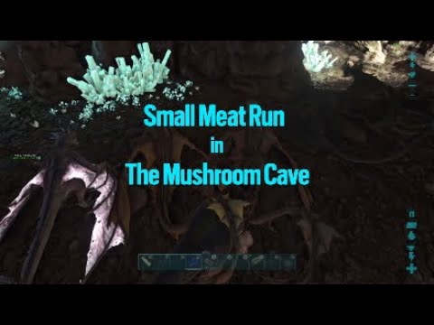 Ark:Survival Evolve (PS4) Official Server 147 pvp Small Meat Run in The mushroom Cave