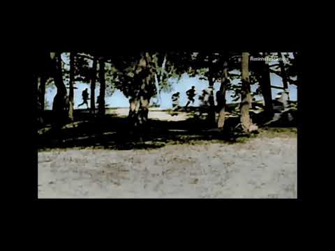 WW2 [Edit] - Washing Machine Heart