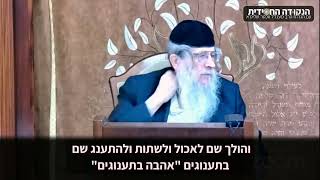 הגה״ח הרב ווכטר שליט״א | לא לבגוד בתפקיד (הרב אברהם מנחם מענדל וכטר) - התמונה מוצגת ישירות מתוך אתר האינטרנט יוטיוב. זכויות היוצרים בתמונה שייכות ליוצרה. קישור קרדיט למקור התוכן נמצא בתוך דף הסרטון